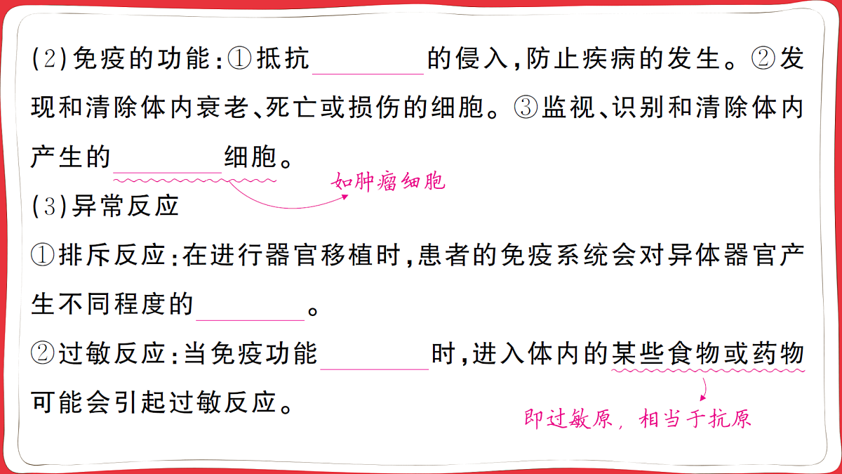 17359475第3页