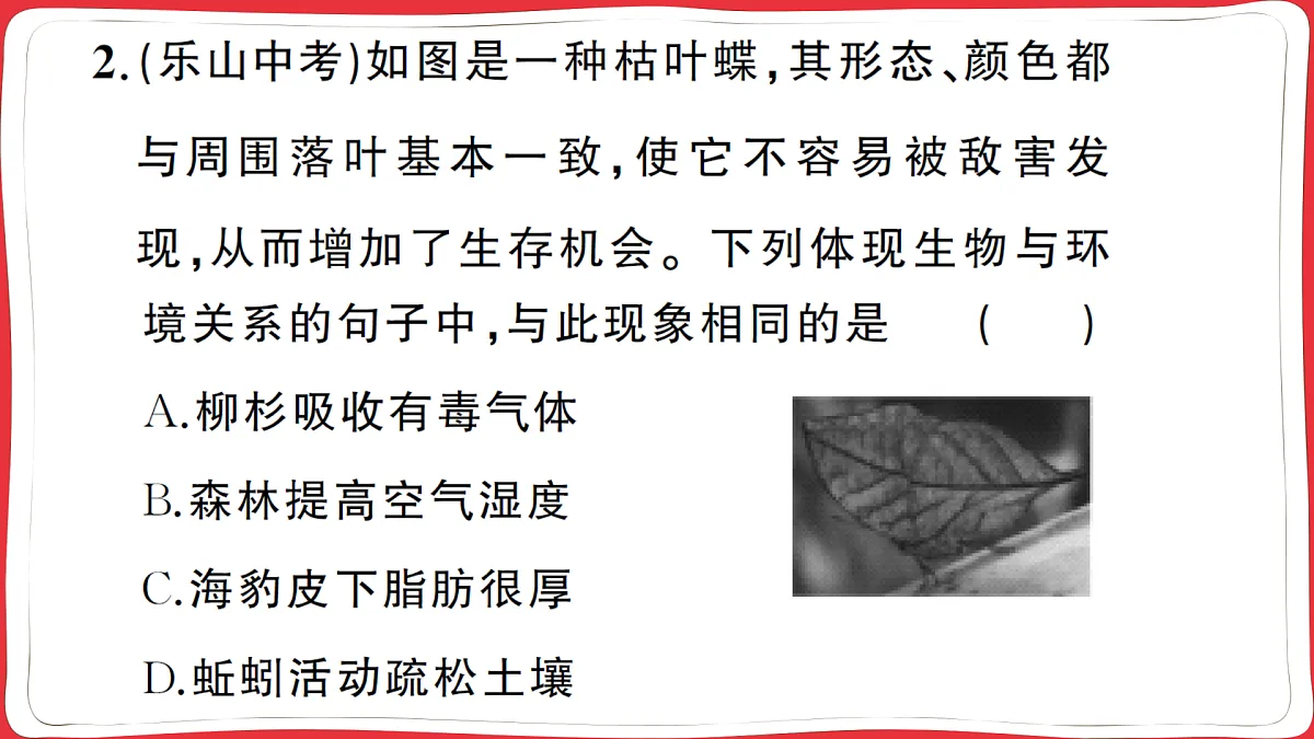 17359476第6页