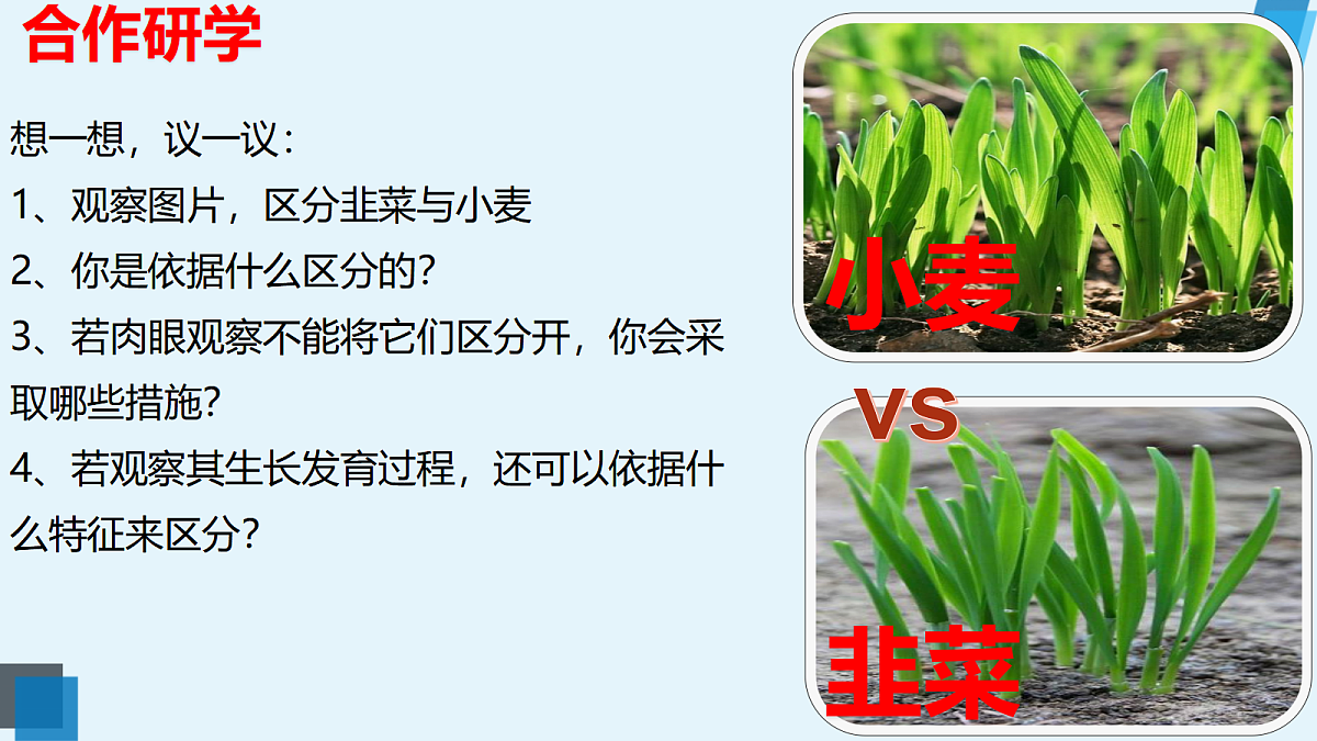 17360358第4页