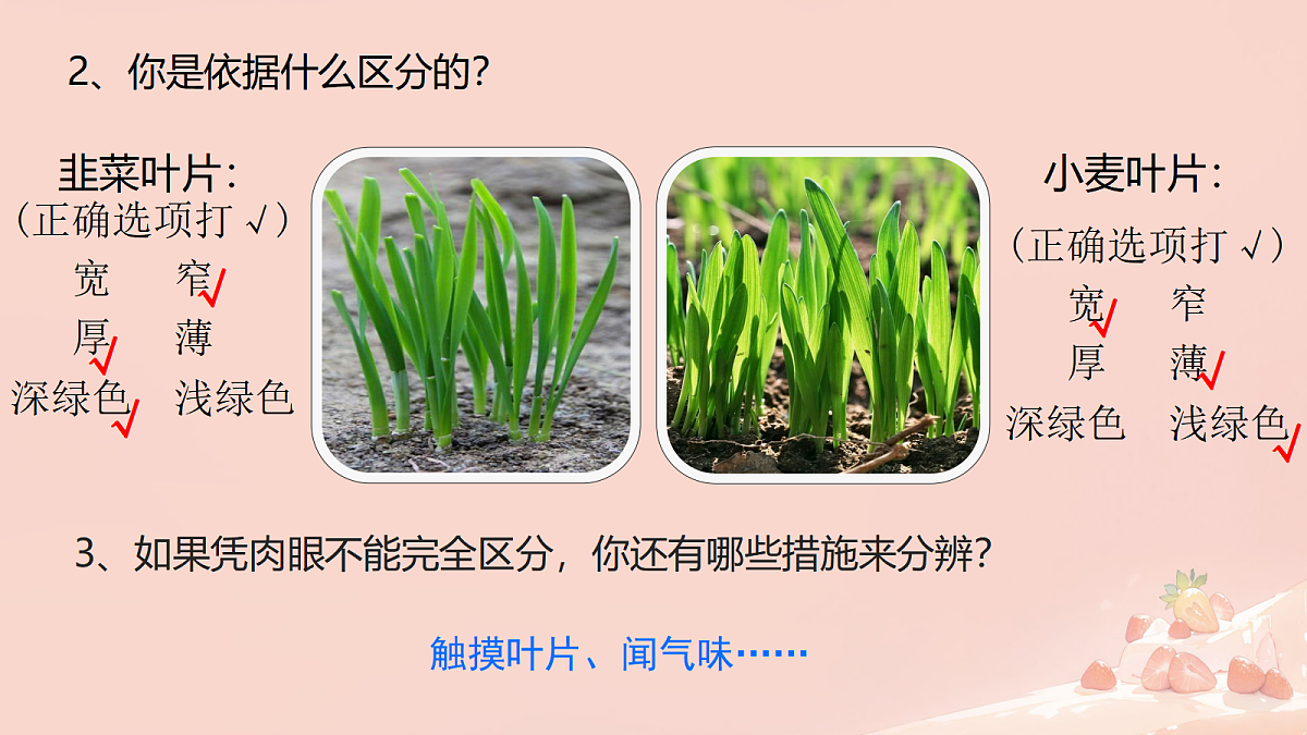 17360358第5页