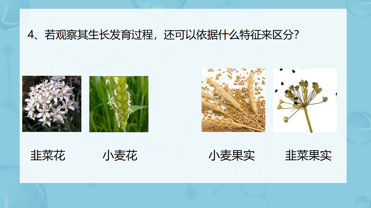 17360358第6页
