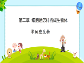 初中  生物  人教版（2024）  七年级上册1.3.4 单细胞生物 课件