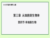 初中  生物  人教版（2024）  七年级上册1.3.4 单细胞生物 课件