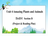 人教版八年级英语上册课件Unit 4 《Amazing Plants and Animals》（Project & Reading Plus）
