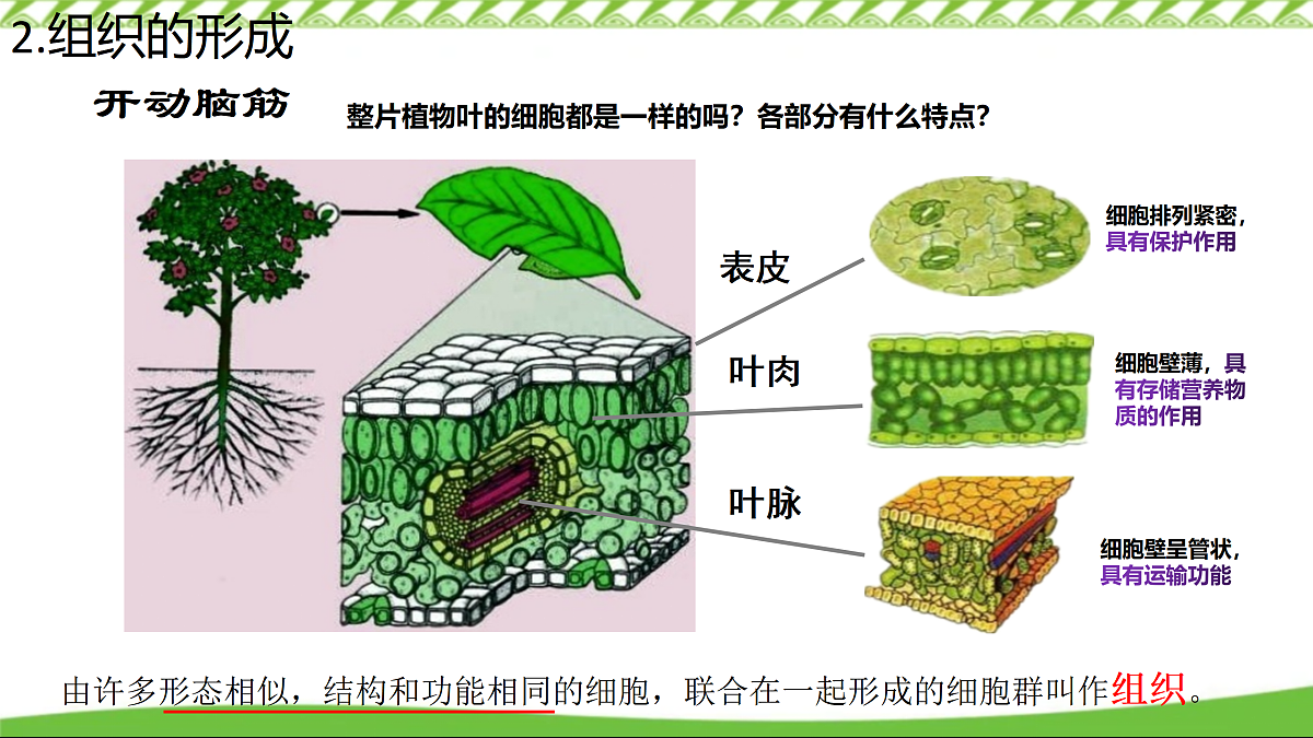 17360738第5页
