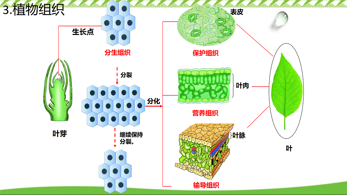 17360738第6页
