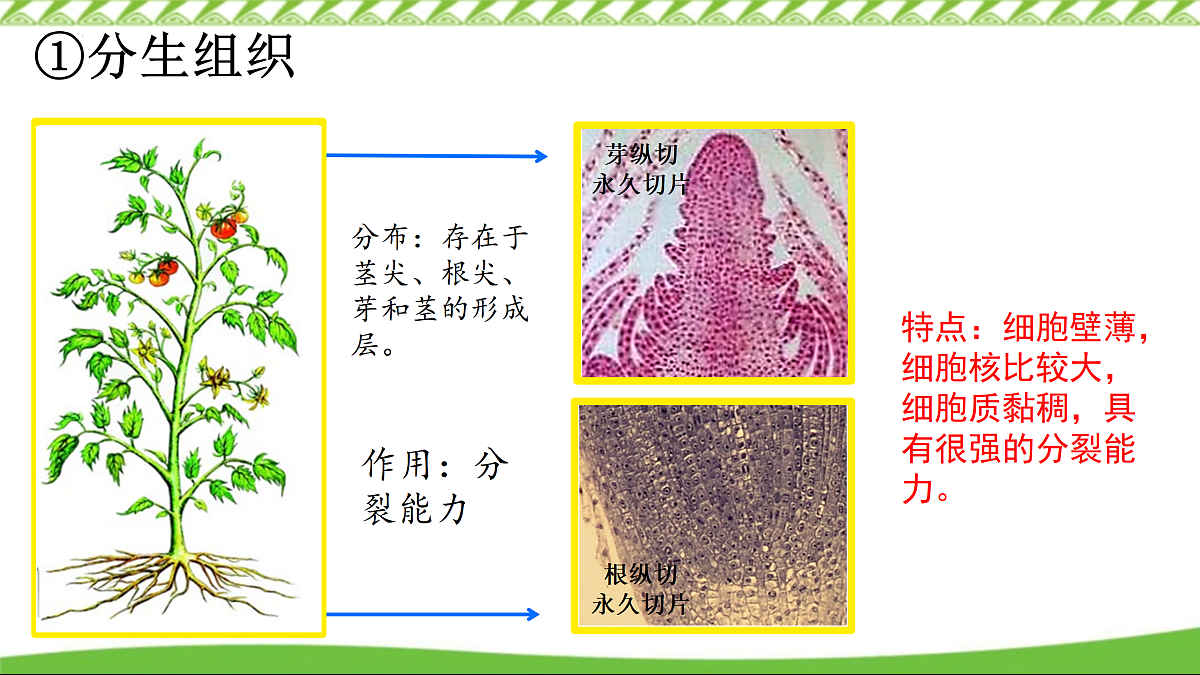 17360738第7页