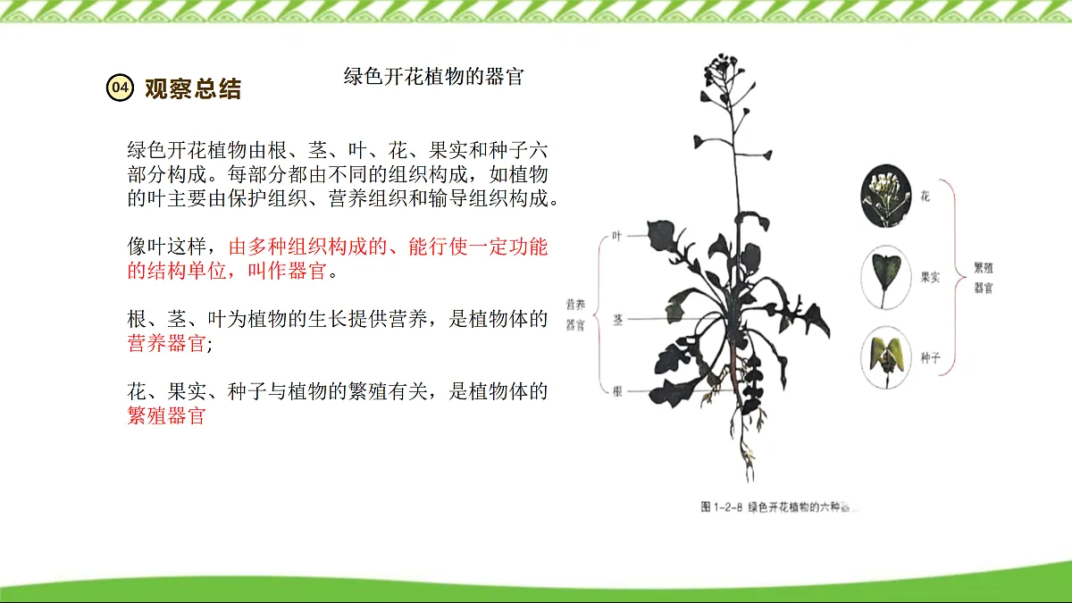 17360740第5页