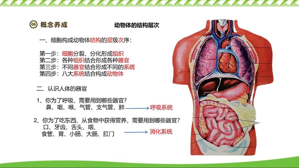 17360740第8页