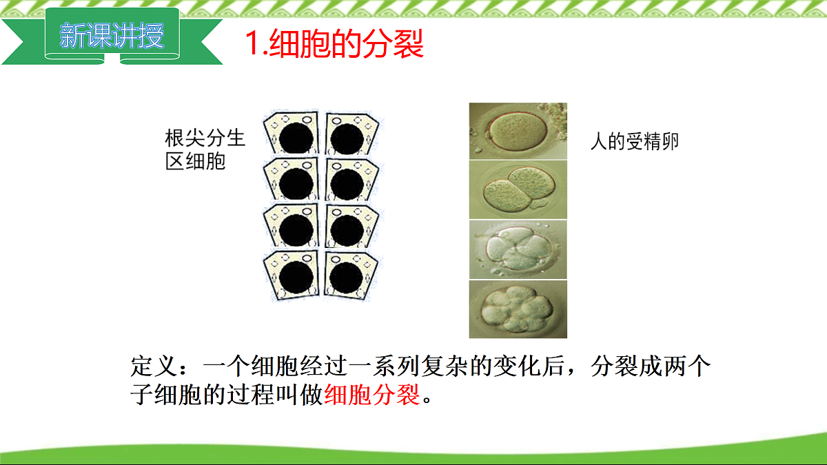 17360741第4页