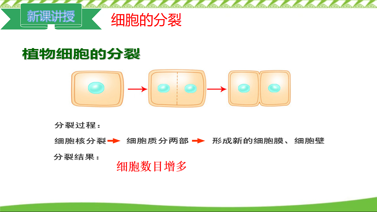 17360741第5页