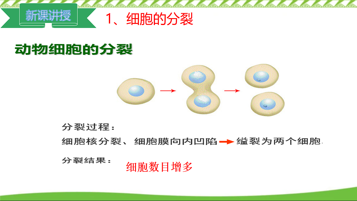 17360741第6页