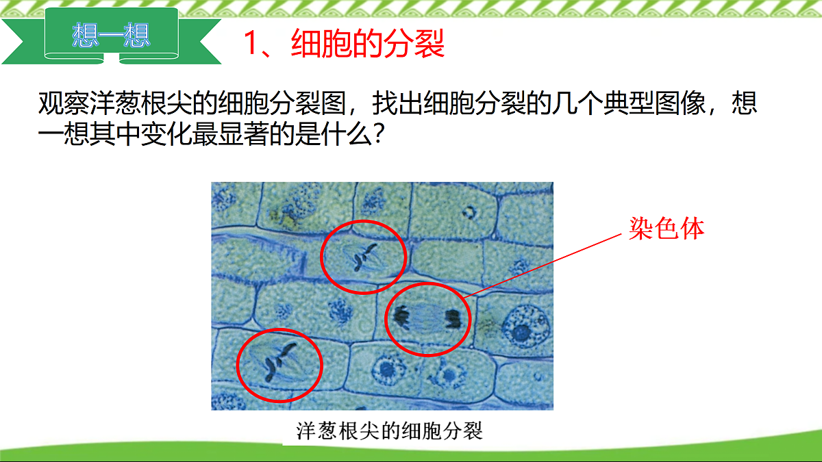 17360741第8页