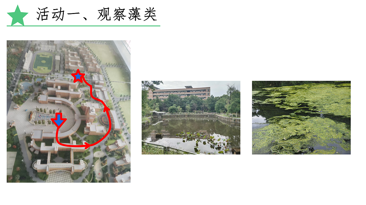 17360745第3页