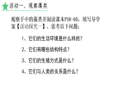 初中  生物  人教版（2024）  七年级上册2.1.1 藻类、 苔藓和蕨类 课件