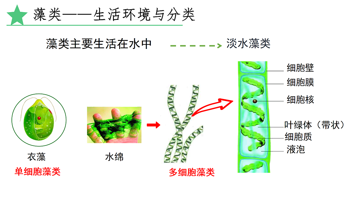 17360745第5页