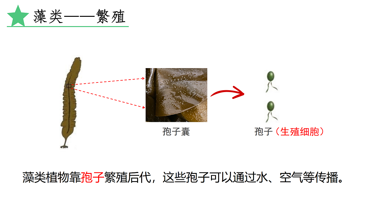 17360745第8页