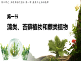 初中  生物  人教版（2024）  七年级上册2.1.1 藻类、 苔藓和蕨类 课件