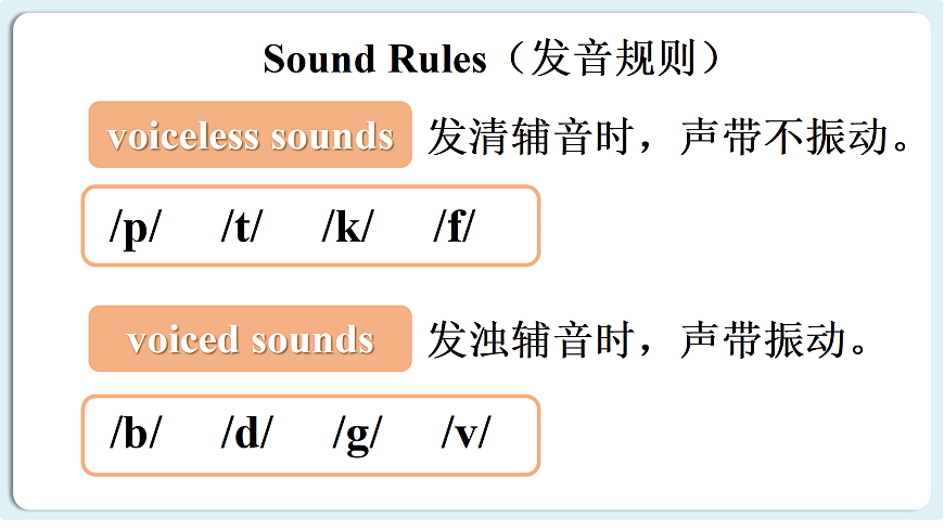 17360784第5页