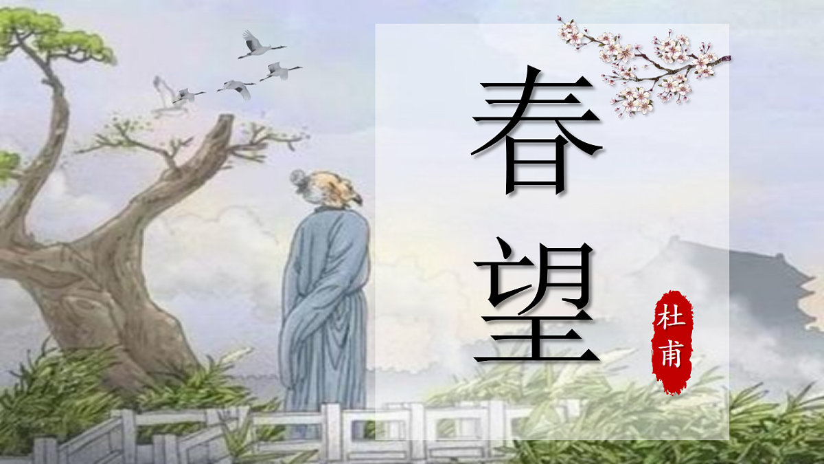 17361404第1页