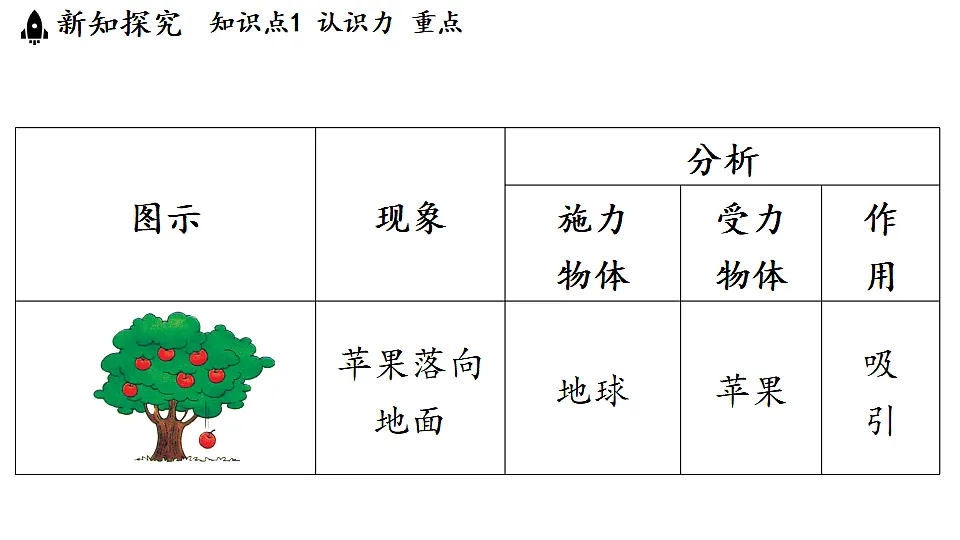 17361769第6页