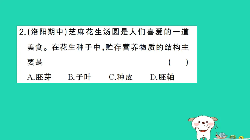 17361818第3页