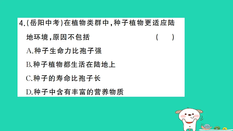 17361818第5页