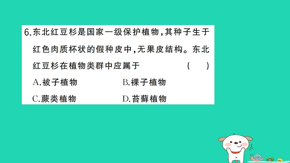 17361818第7页