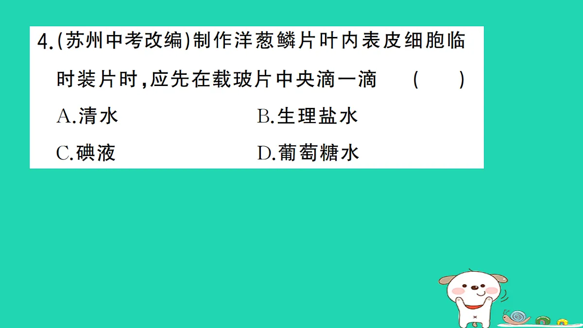 17361819第5页