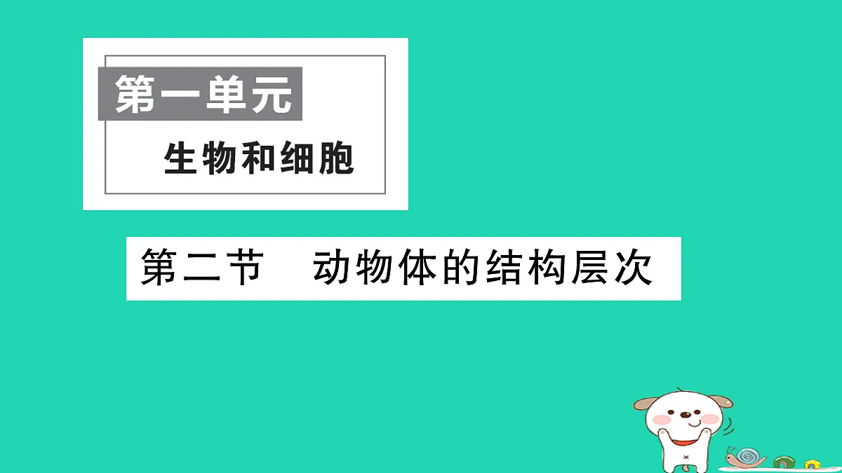 17361823第1页