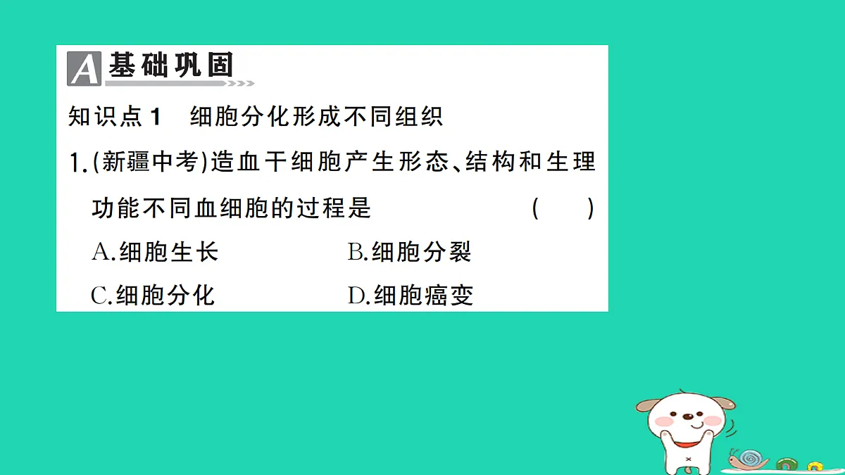 17361823第2页
