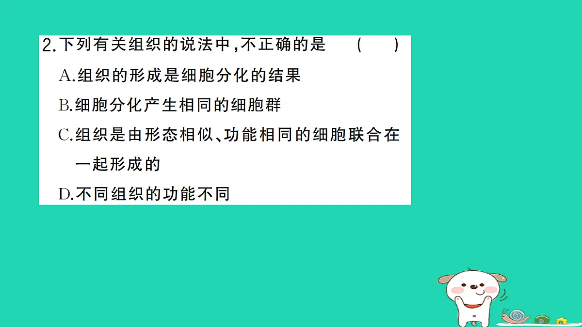 17361823第3页