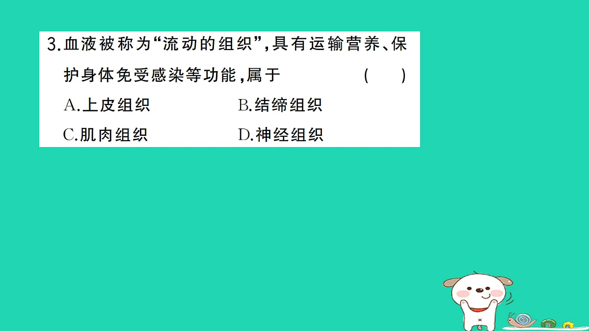 17361823第4页
