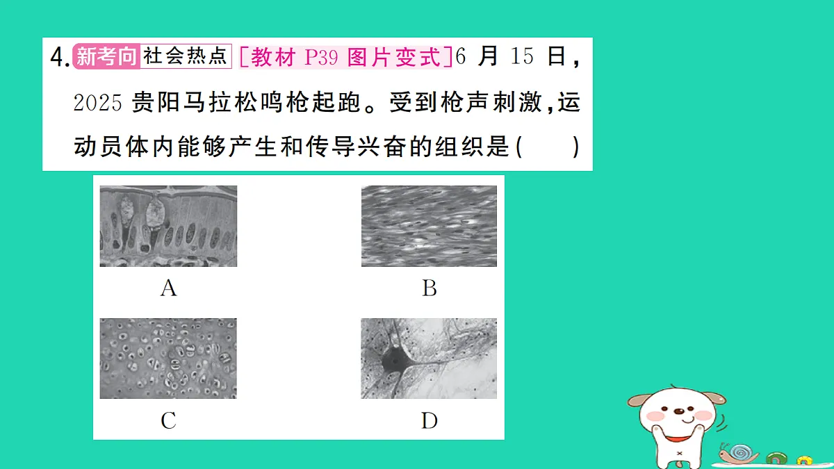 17361823第5页