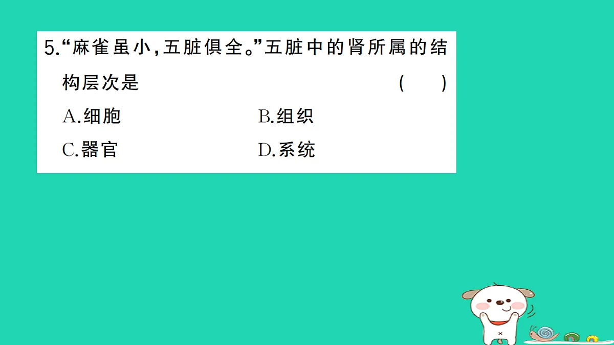17361823第6页