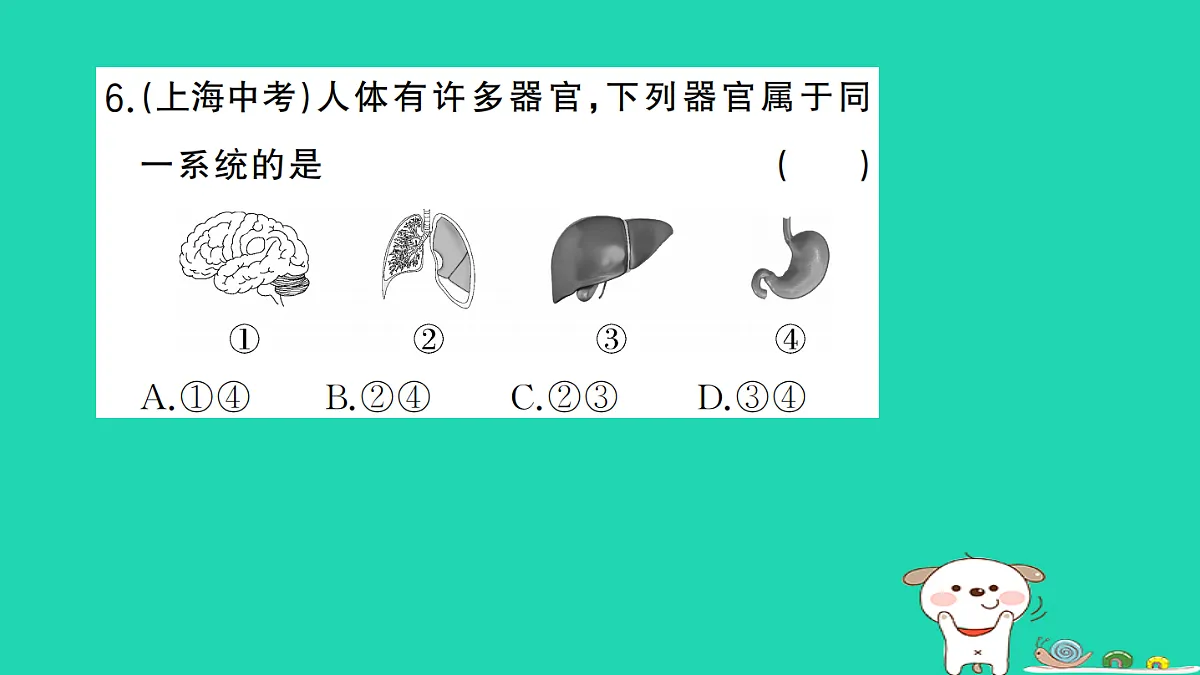 17361823第7页