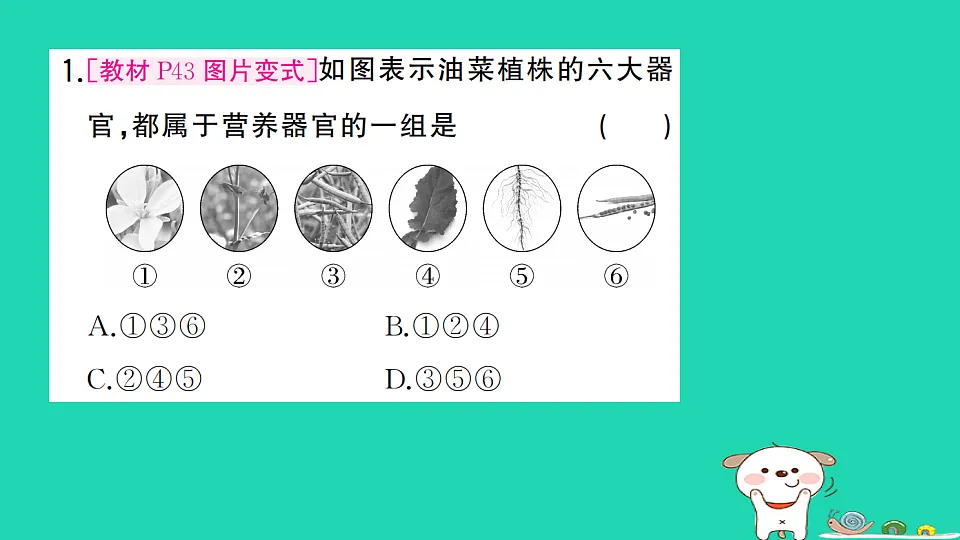 17361824第2页