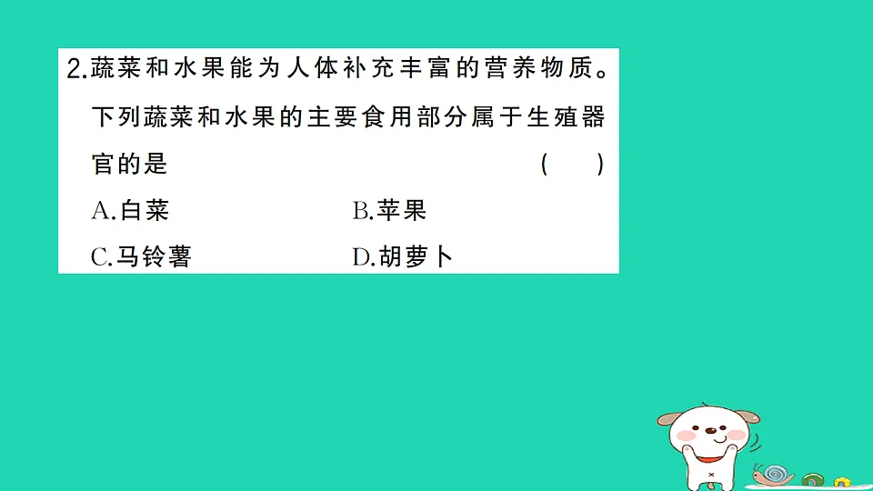17361824第3页