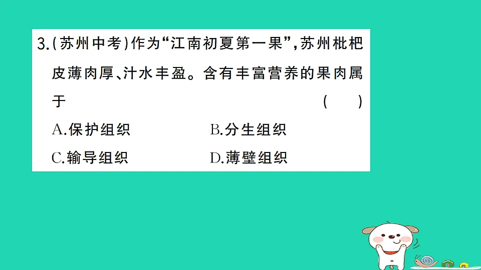 17361824第4页