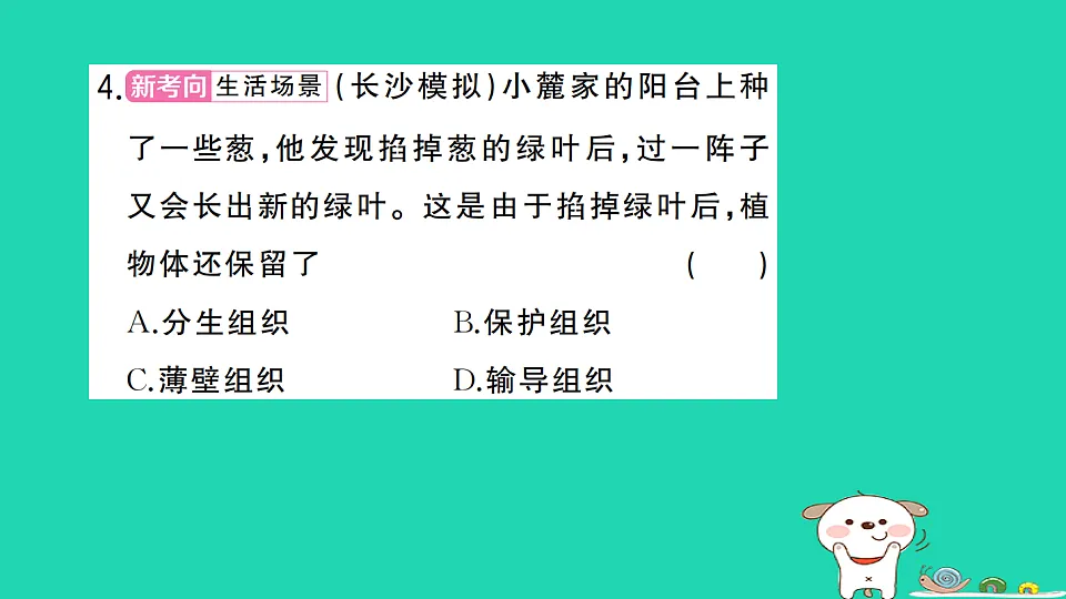17361824第5页