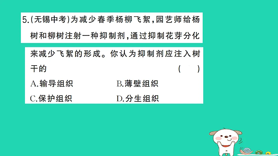 17361824第6页