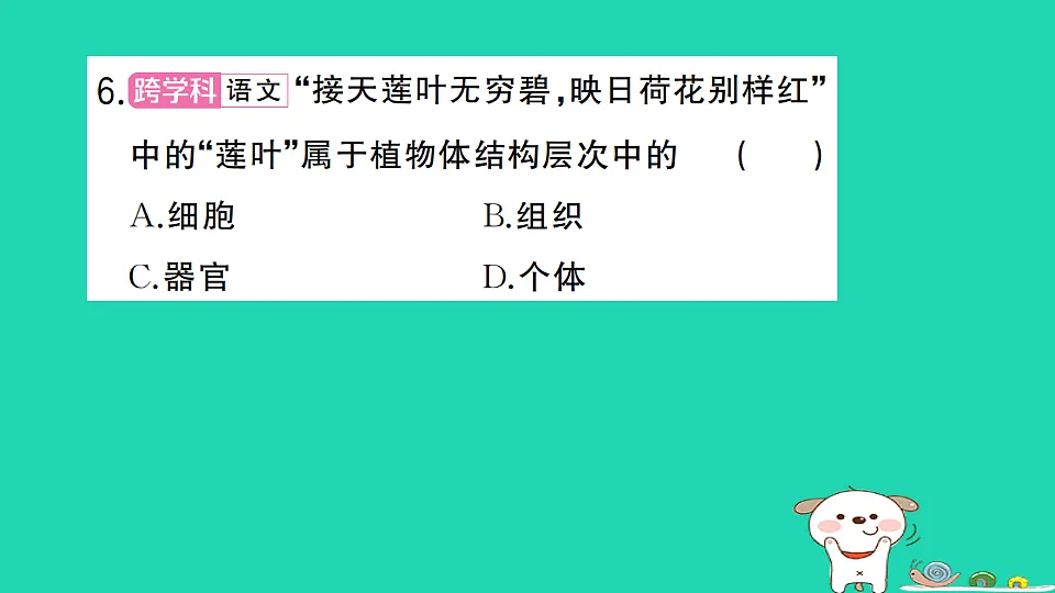 17361824第7页