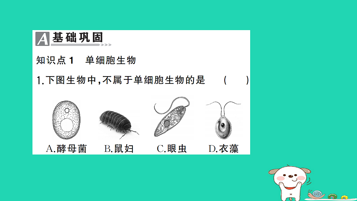 17361825第2页