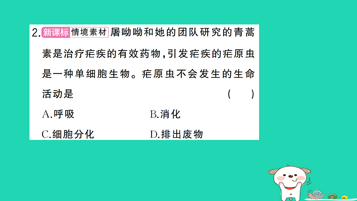 17361825第3页