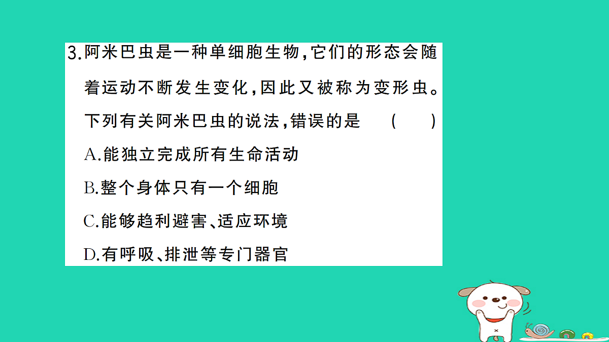 17361825第4页