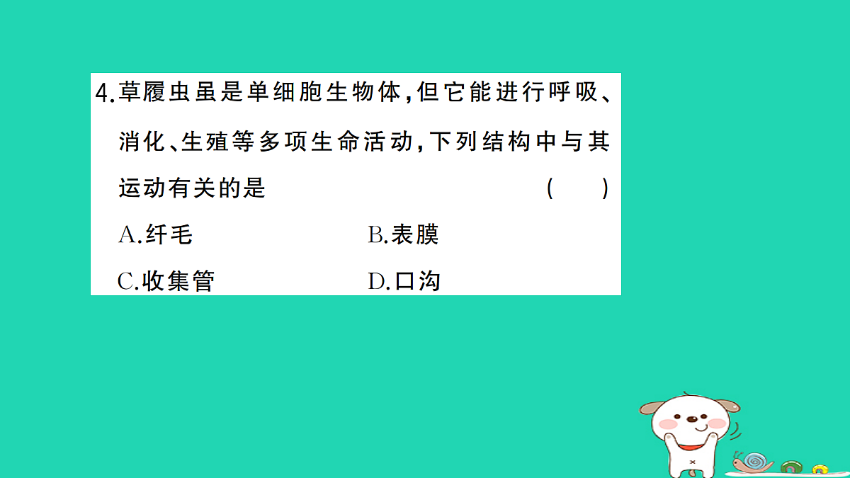 17361825第5页