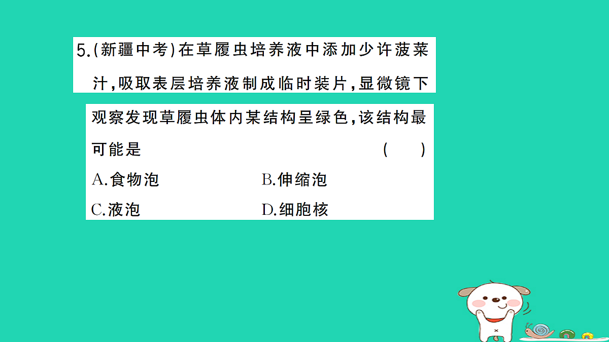 17361825第6页