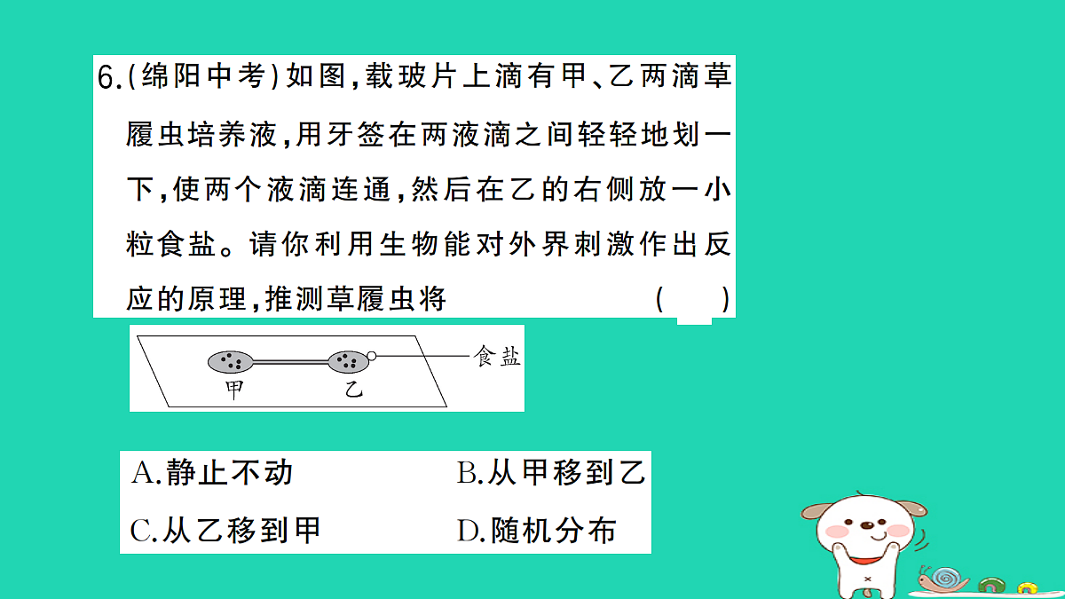 17361825第7页