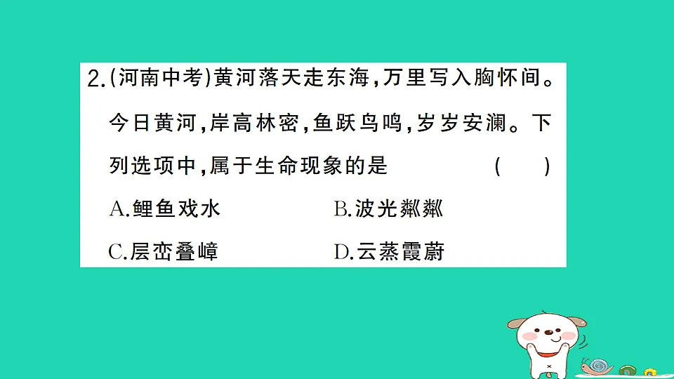 17361826第3页