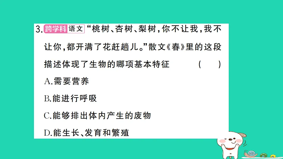 17361826第4页